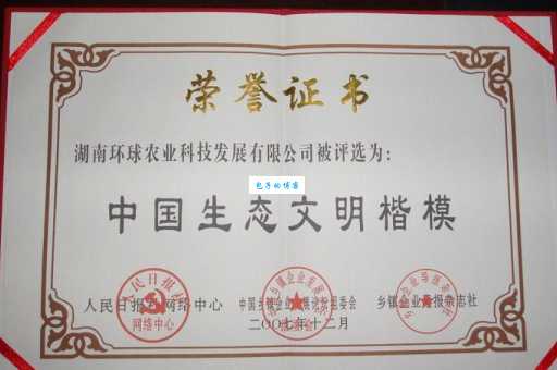 绿柳老师个人简介她的教育生涯与荣誉一览