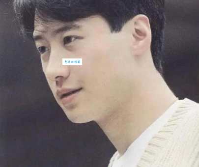 黎明个人资料大揭秘他的成长经历和成名故事