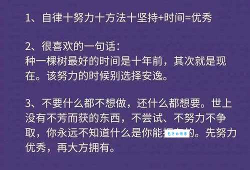 孙孟来成功秘诀分享他是如何一步步走到今天的