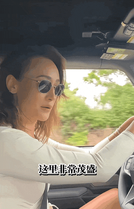 刘禹伶最新动态曝光她的近况让人意想不到
