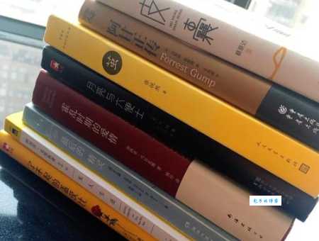 杨莎莉成功秘诀她是如何一步步走向成功