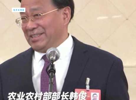 严凤平最新消息他最近在忙什么
