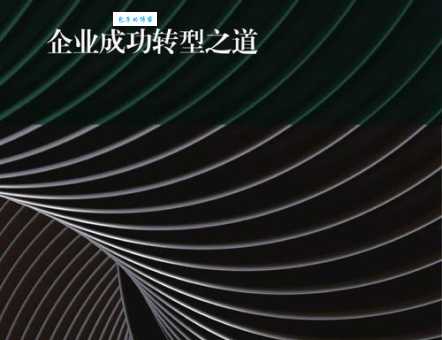 马万琪的成功之道 普通人如何向他学习