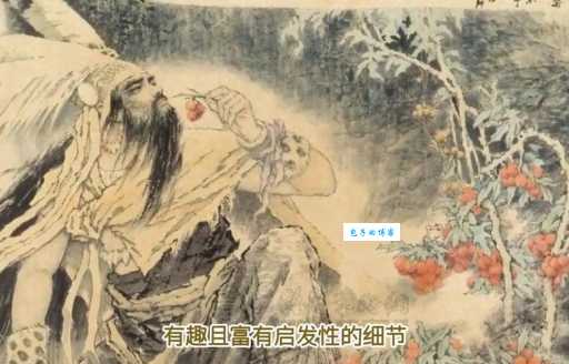 周璿是谁带你了解这位传奇人物的故事