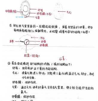 黄汉源的个人简介探索他背后的成功秘诀与经验