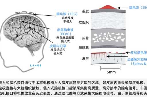 BCI是什么 简单解释脑机接口技术原理