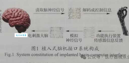 BCI是什么 简单解释脑机接口技术原理
