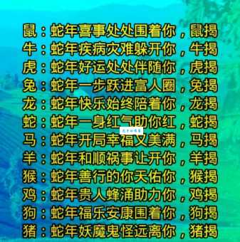 瑟瑟寒风是什么生肖 冬季最抗冻的属相排行