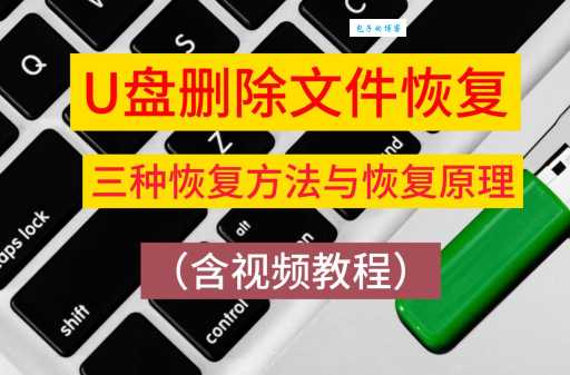 dk文件打开方法大全 快速解决你的困扰