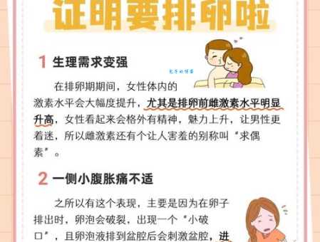 排卵不正常能怀孕吗中医调理有妙招