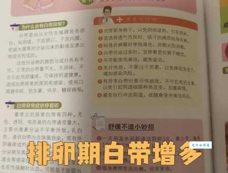 排卵不正常能怀孕吗中医调理有妙招