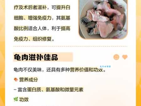 养龟穷三代什么意思养龟的经济代价你知道吗