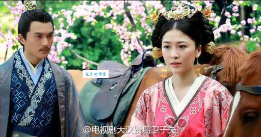 卫子夫演员表详细介绍 每个角色谁演的