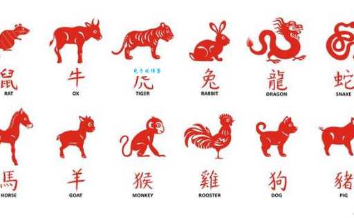 旁征博引打一准确生肖怎么玩？5步技巧助你快速猜中谜！