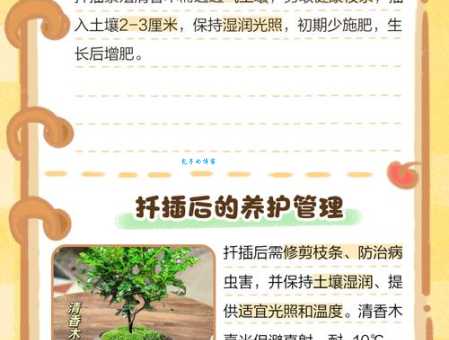 清插是啥意思啊有啥好处?专家揭秘实际应用秘诀! 清插是啥意思啊有啥好处?专家揭秘实际应用秘诀!