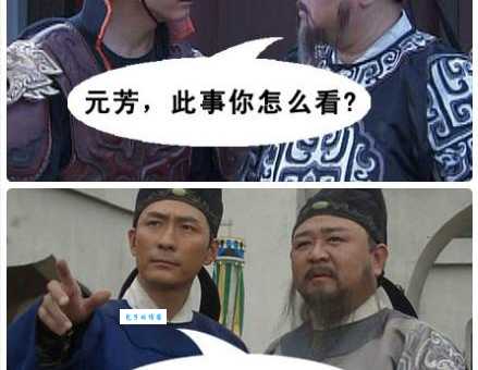 元芳你怎么看下一句