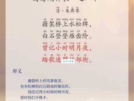 棹正确读音是什么?历史由来一探就懂