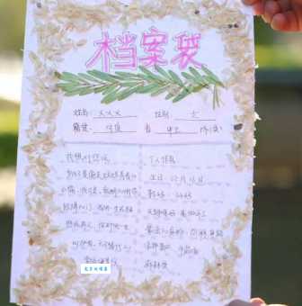 档案的拼音在生活中怎么用?实例展示应用场景。