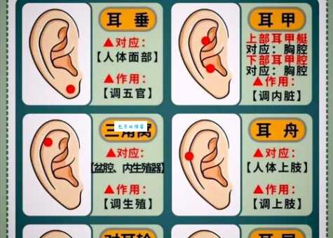 一个林一个耳朵旁新手入门？从零开始学基础知识