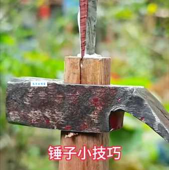 电锯开木头(打一成语)如何学好?(每日练习提升语感妙招)