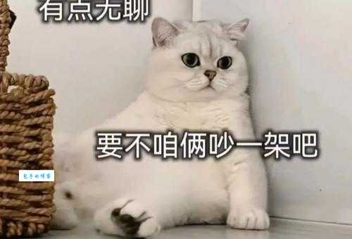 百无聊赖什么意思 现代人常说的无聊感来源