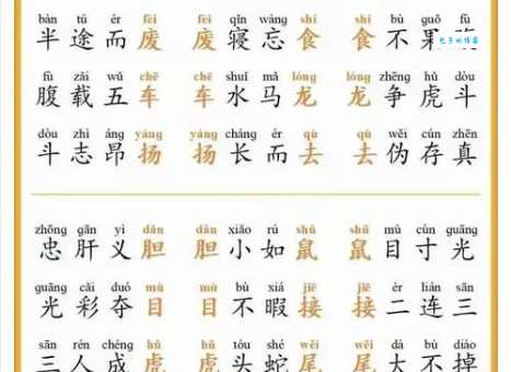 飞苍走黄的意思是什么原来这个成语这么有趣