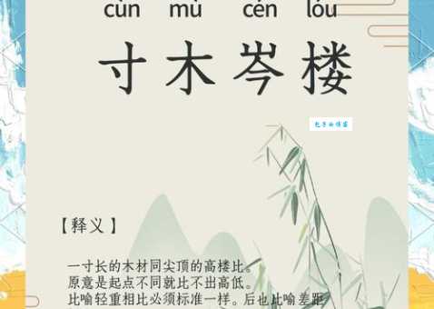 尺树寸泓什么意思 成语背后的故事解析
