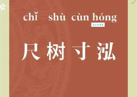 尺树寸泓什么意思 成语背后的故事解析