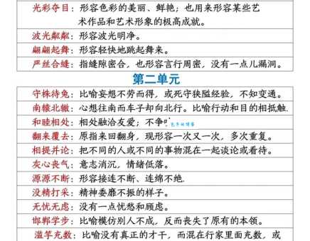 独一无二的意思解析 为什么这个词很重要