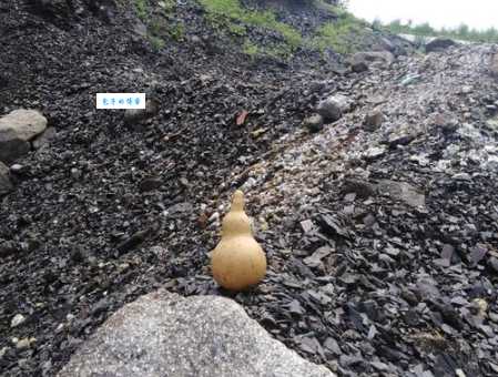 岗头泽底什么意思 原来是指这种自然现象