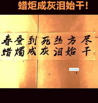 春蚕到死丝方尽的意思解析 原来诗人想说的是这个