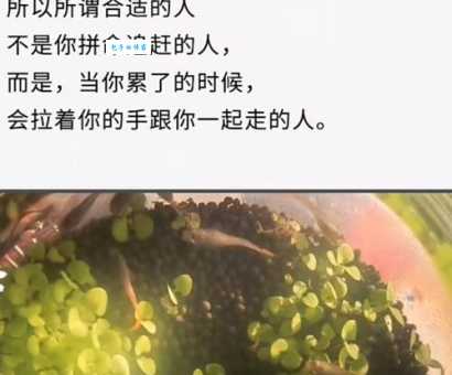 不解之缘的意思你真的懂吗 看完这篇就明白了 不解之缘的意思你真的懂吗 看完这篇就明白了