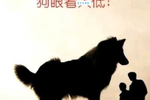 刮目相看是什么意思生活中哪些行为会让人刮目相看