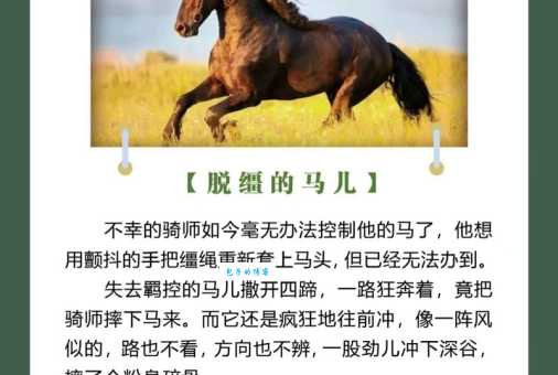 快马加鞭的意思是什么 原来是这样理解的