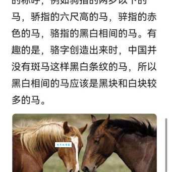 快马加鞭的意思是什么 原来是这样理解的