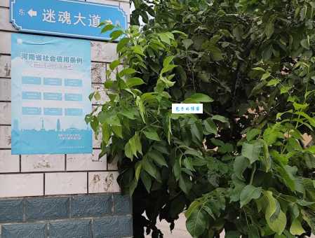 摆迷魂阵是什么意思看完你就明白怎么回事