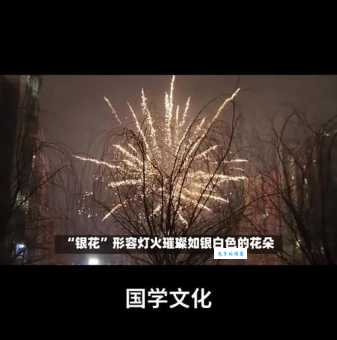 火树银花什么意思教你正确理解这个成语