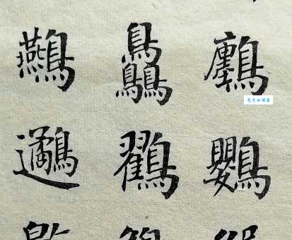 鸟字组词哪个好记？这几个经典组词要知道！