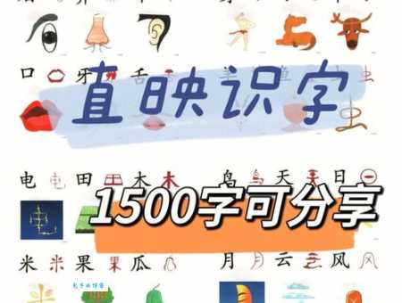 映的组词有啥技巧？教你快速掌握！