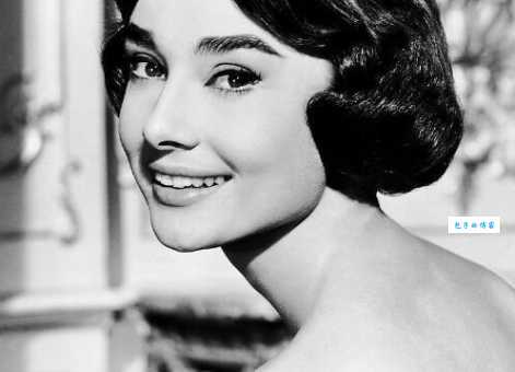 伊丽莎白打一字,你知道正确答案不?