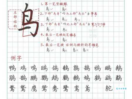 鸟组词怎么学？掌握这方法轻松搞定！