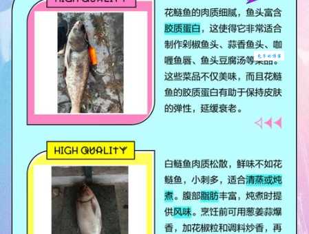 想知道鳙怎么读？这篇文章给你答案！