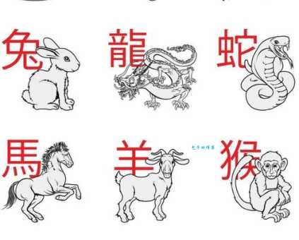 想知道一虎不河对应啥生肖？这里给你答案！