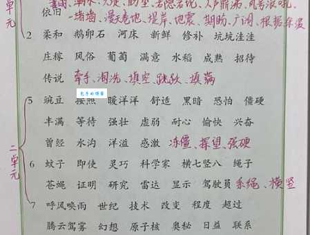 薄组词语有啥含义？深度解读让你秒懂！