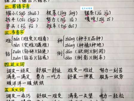 内组词语有啥实用技巧?资深老师来揭秘