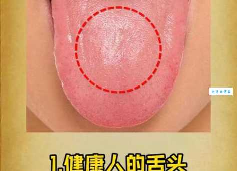 舌头没有打一字，看这方法教你轻松解谜