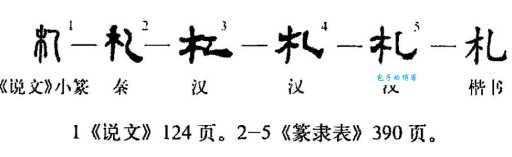 札怎么读才正确？快来看看标准读音！