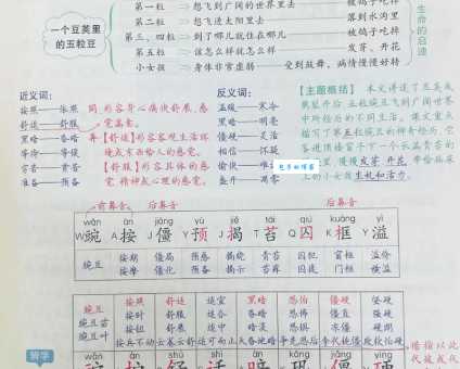 郊组词有啥规律?揭秘背后的小秘密! 郊组词有啥规律?揭秘背后的小秘密!