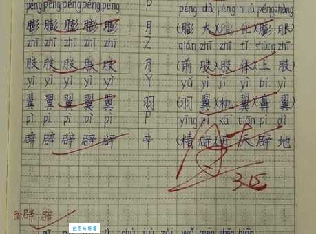 强字组词语哪个最常用?大数据给出答案