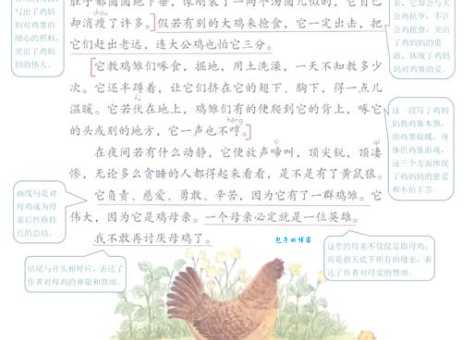 雄鸡断尾是什么意思呀？专家来为你答疑解惑